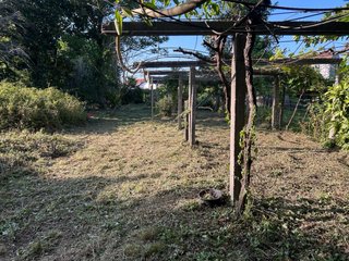 Servicios de jardinería y desbroce