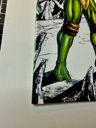 Comic USA Turtles of Grayskull #1 Raymond Gay NYCC