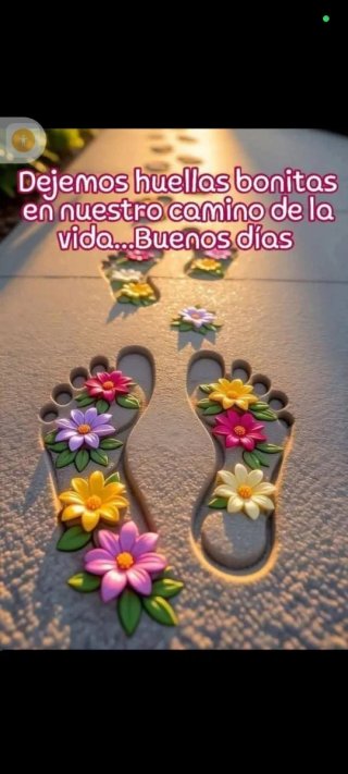 Cuidados y acompañamientos de personas mayores