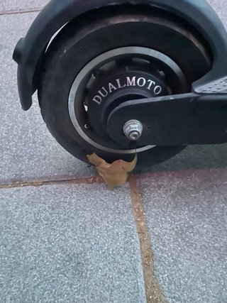 Ninebot G30 Modificado