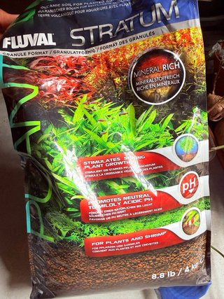 Pack para Begonia