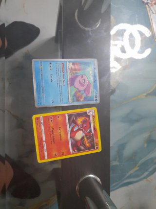 Pokemon Alomomola y Charmeleon