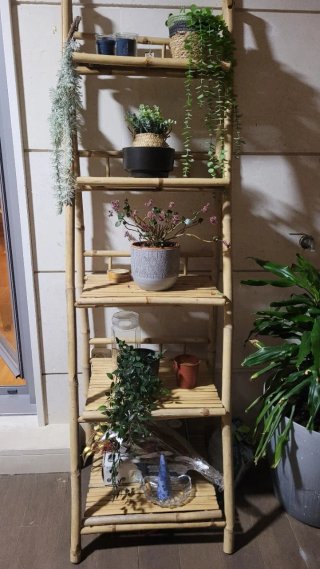 Escalera bambú 5 estantes decorativa. 190 x 56 cm