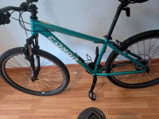 Bicicleta MTB 29 Verde