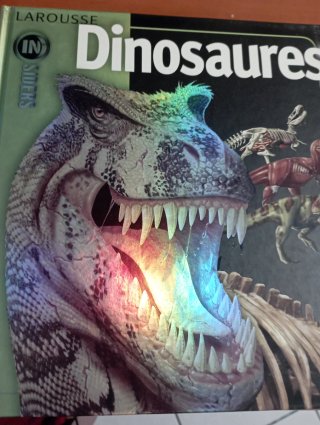 Libro Dinosaurios