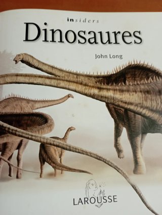Libro Dinosaurios