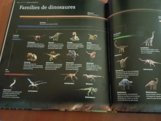 Libro Dinosaurios