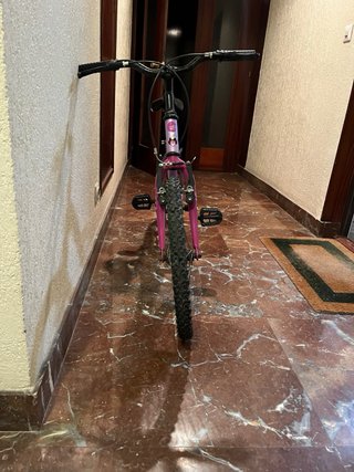 Bicicleta infantil morada