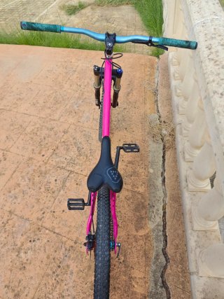 Bicicleta Dirt Jump Duncan Pussy 24