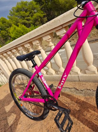 Bicicleta Dirt Jump Duncan Pussy 24