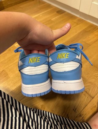Zapatillas Nike Dunk Low Azul y Blanco