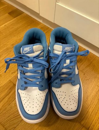 Zapatillas Nike Dunk Low Azul y Blanco
