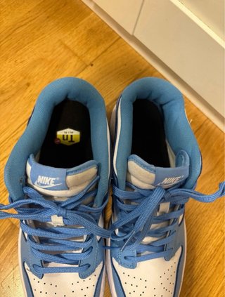 Zapatillas Nike Dunk Low Azul y Blanco