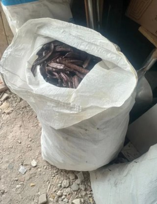 Algarrobas en sacos
