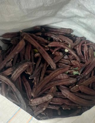 Algarrobas en sacos
