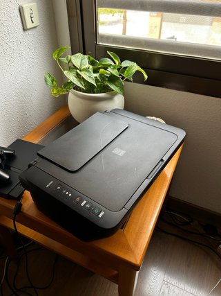 Impresora Canon MG2550S Negra