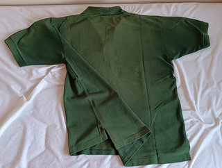 Polo de Ralph Lauren color verde