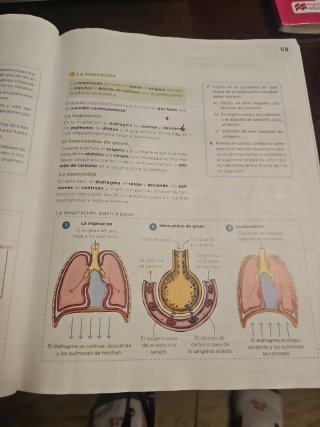 Ciencias de la Naturaleza, 5 Primaria