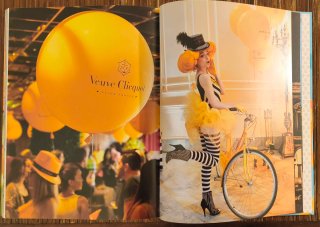 Libro Veuve Clicquot "The colour of excellence"