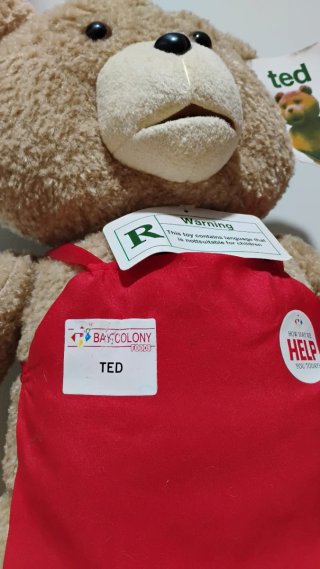 Peluche Ted 2