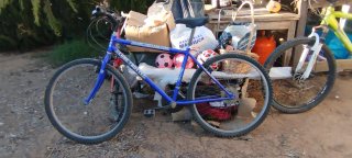 Bicicleta Globe Trotter Azul