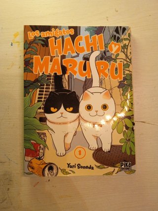 Los amigatos Hachi y Maruru 1