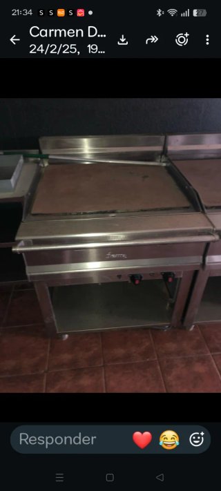Plancha de Gas Profesional