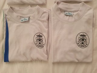Lote Camisetas y polos uniforme Pureza de María