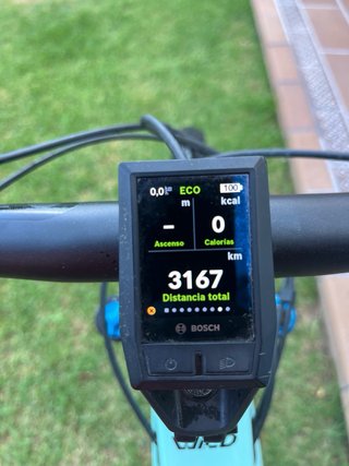 Orbea Wild Eléctrica MTB