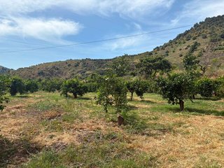Terreno en venta en Cútar