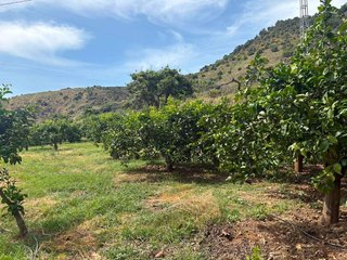 Terreno en venta en Cútar