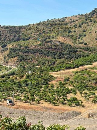 Terreno en venta en Cútar
