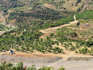 Terreno en venta en Cútar