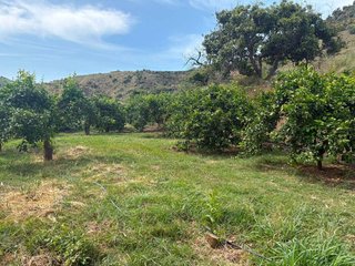 Terreno en venta en Cútar