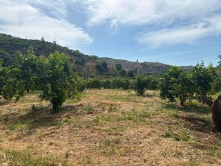 Terreno en venta en Cútar