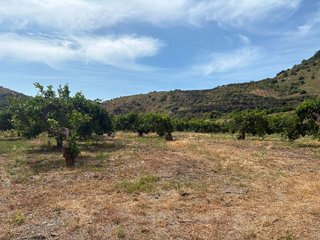 Terreno en venta en Cútar