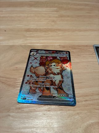 2 Cartas Pokémon Arcanine EX