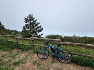 Bicicleta de Montaña Carrera Kraken MTB Eléctrica