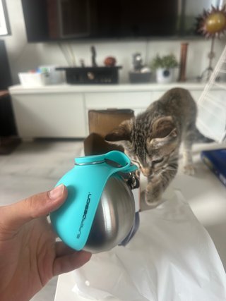 Botella de agua Superdesign para perros