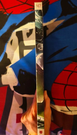 Spiderman: Otro bonito follón