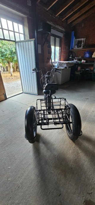 Triciclo Eléctrico con Cestas