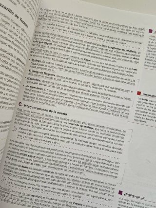 Lengua castellana y literatura 1o Bachillerato