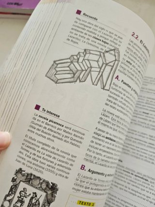 Lengua castellana y literatura 1o Bachillerato