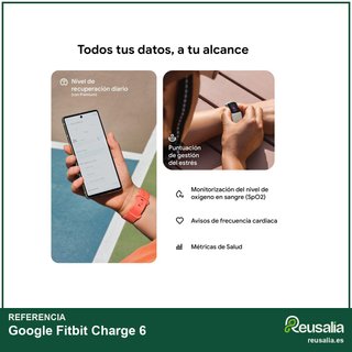Google Fitbit Charge 6 pulsera actividad gps