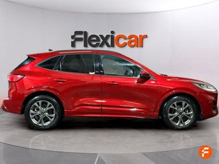 Ford Kuga ST-Line 2.0 EcoBlue 88kW (120CV) Auto
