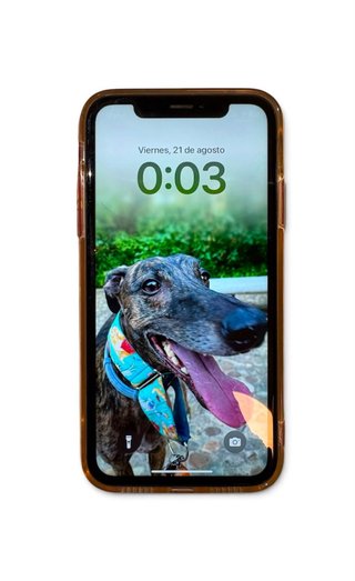 iPhone XR Rojo