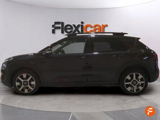 Citroën C4 Cactus PureTech 81KW (110CV) S&S EAT6 Shine