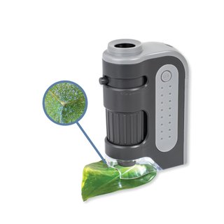 Carson MicroBrite Plus microscopio bolsillo