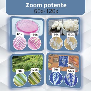 Carson MicroBrite Plus microscopio bolsillo