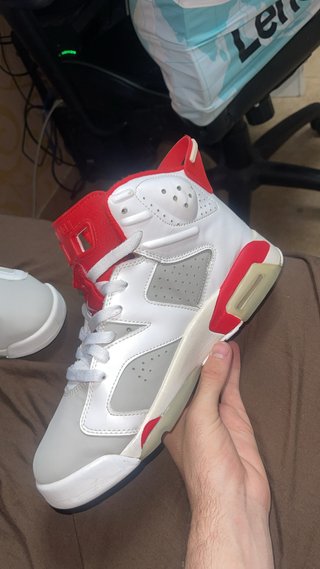 Zapatillas jordan 6 con uso